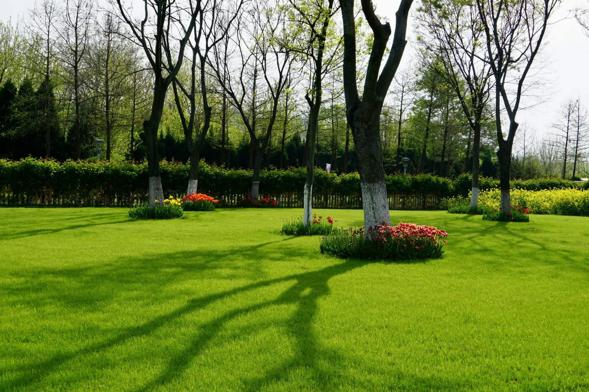Landscaping scaled